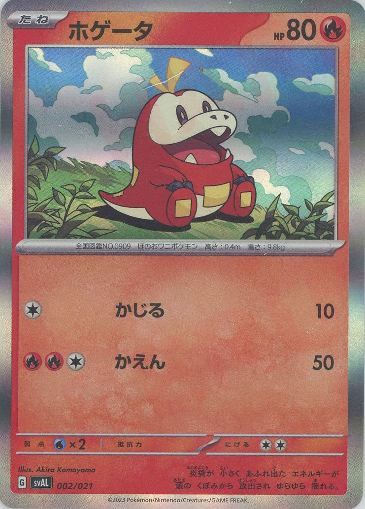 ホゲータ(214/SV-P) | プロモ | ドラゴンスター | ポケモンカード