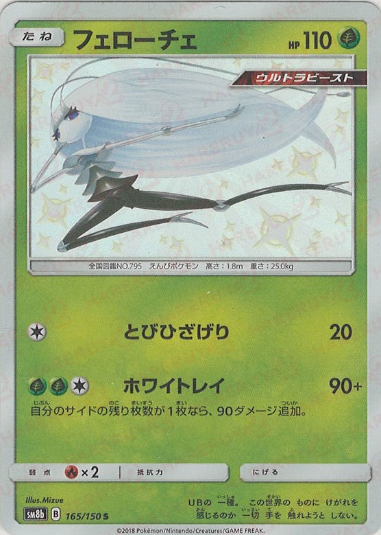 フェローチェ(S){草}〈165/150〉[SM8b] – 晴れる屋2 なんば店