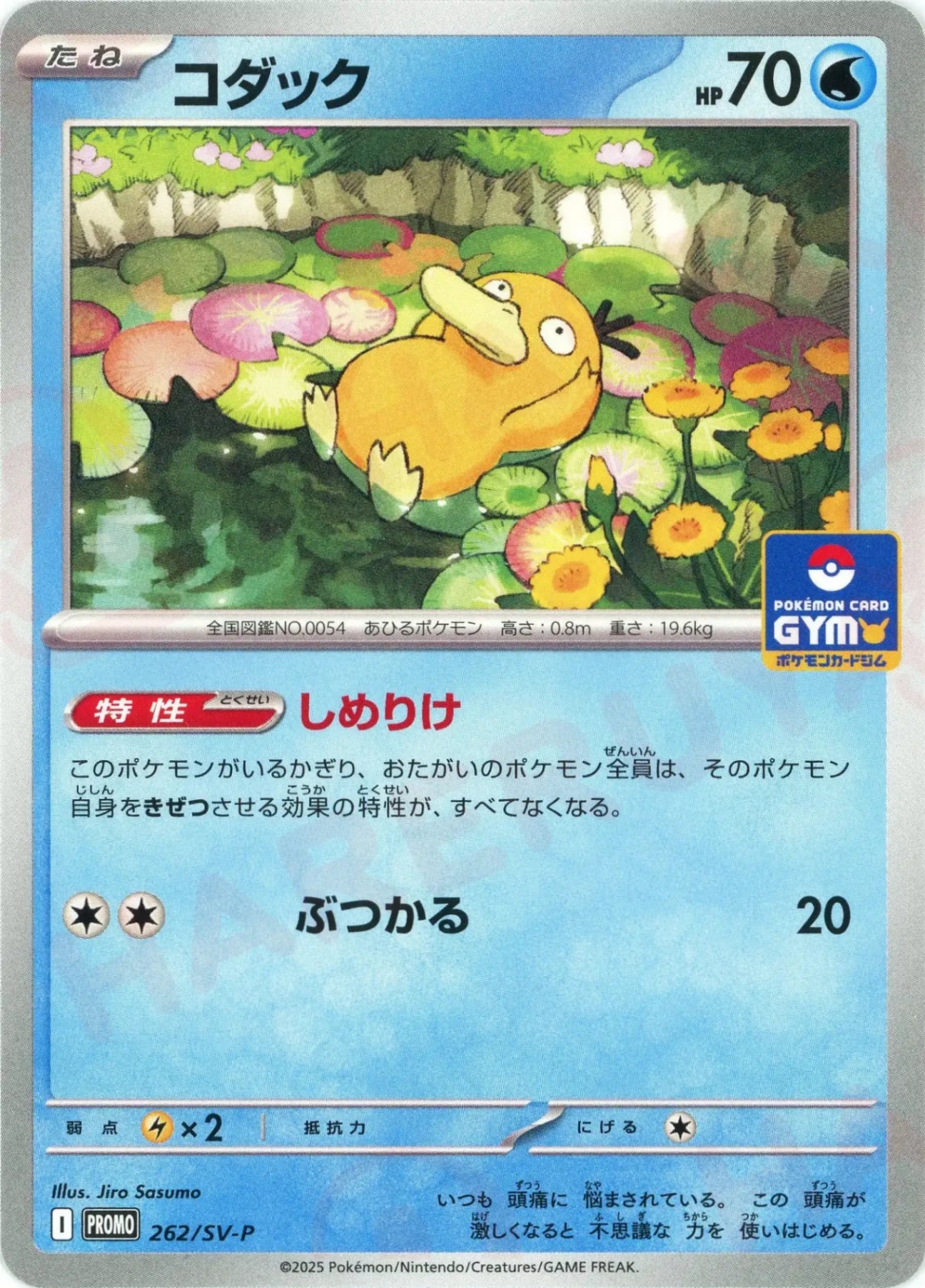 コダック(PROMO){水}〈262/SV-P〉[SV-P] – 晴れる屋2 なんば店