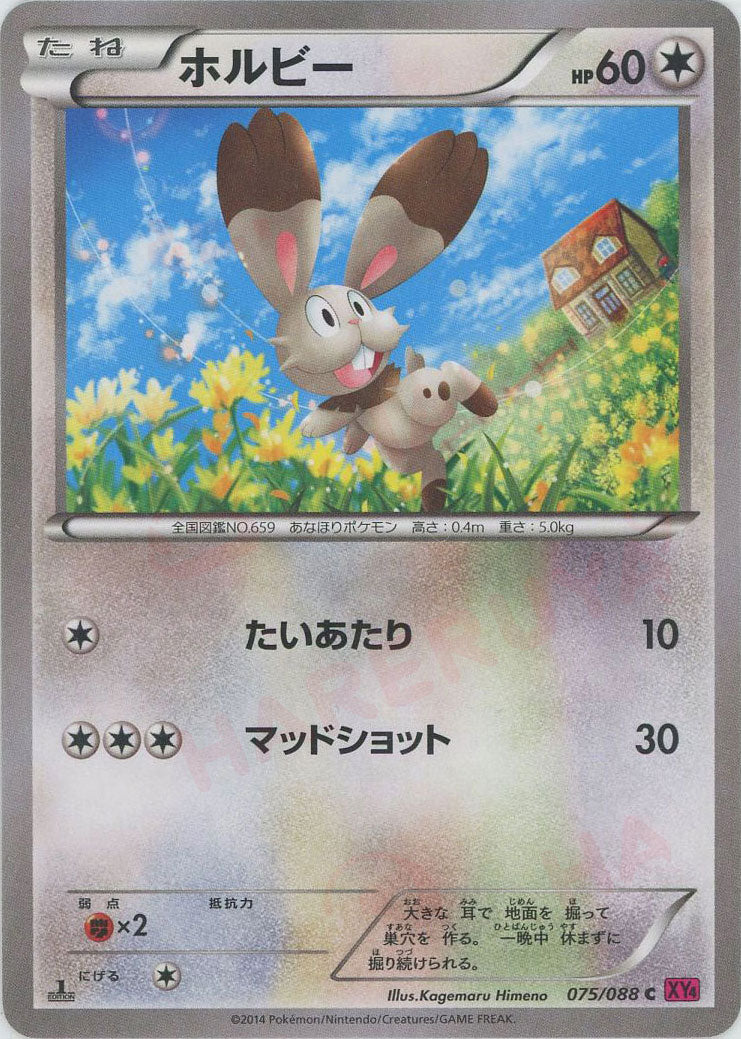 ホルビー(C){無}〈075/088〉[XY4] – 晴れる屋2 なんば店