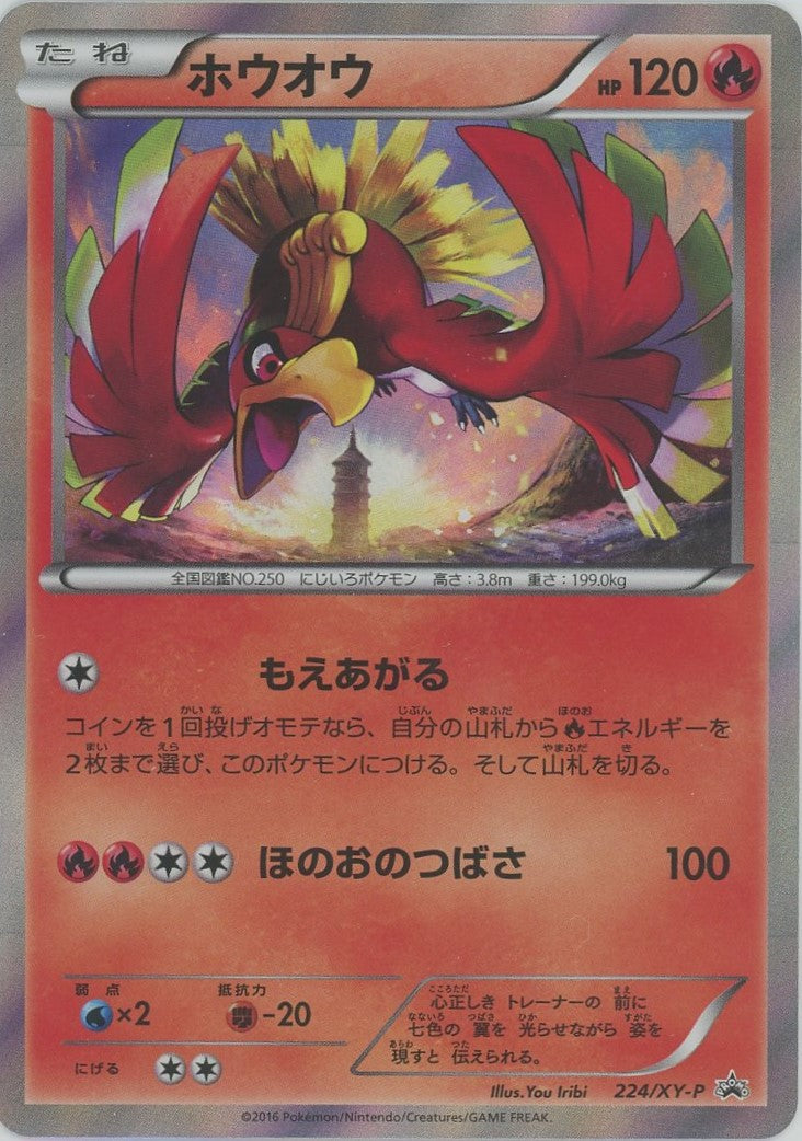 ホウオウ(PROMO){炎}〈224/XY-P〉[XY-P]