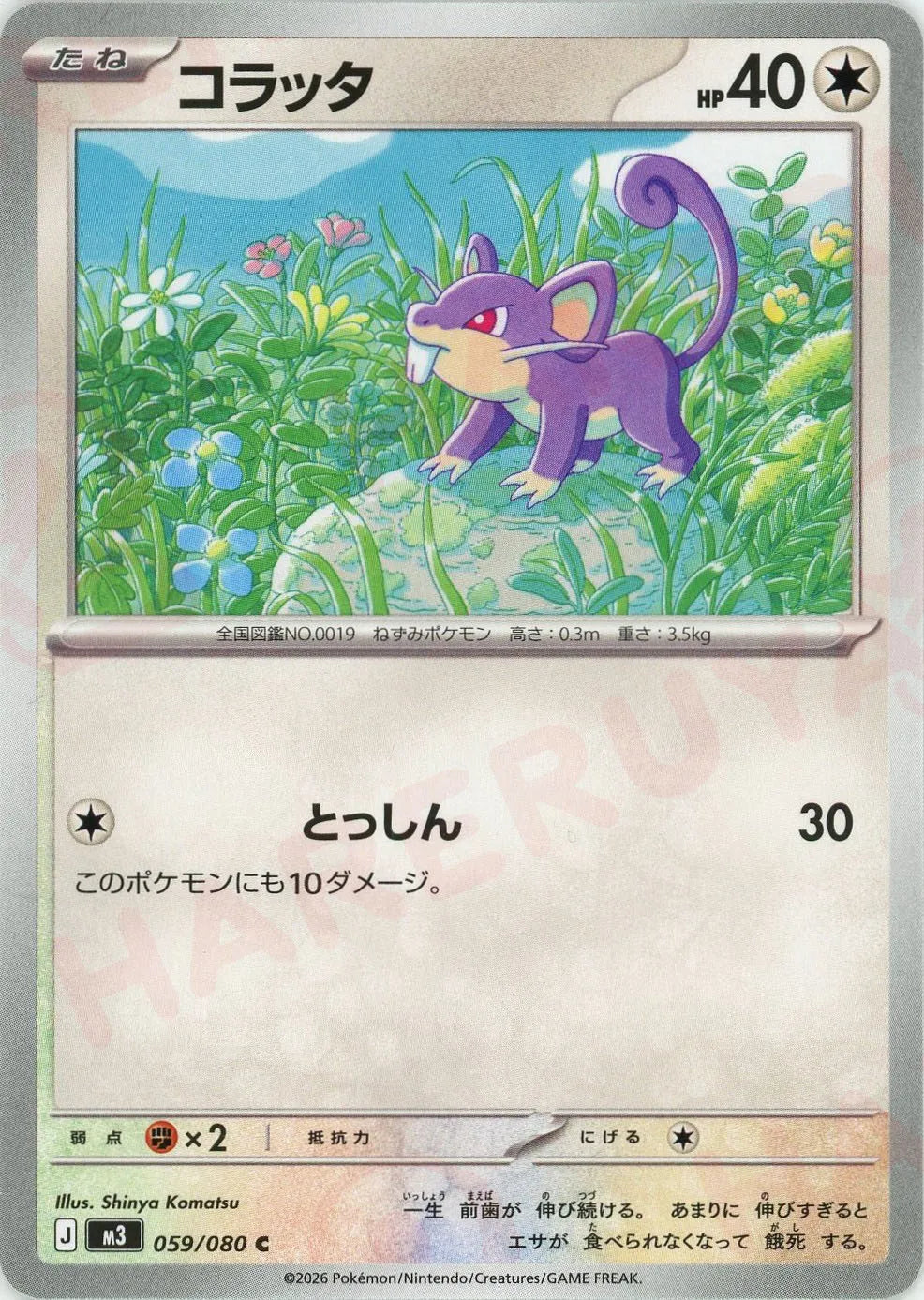 コラッタ(C){無}〈059/080〉[M3]