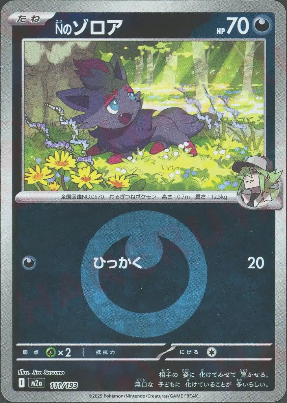 Nのゾロア:エネルギーミラー(-){悪}〈111/193〉[M2a-EM]