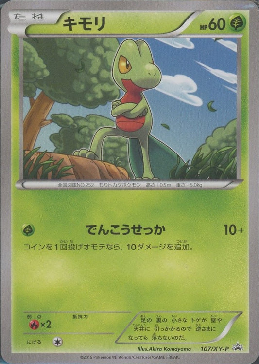 キモリ(PROMO){草}〈107/XY-P〉[XY-P]