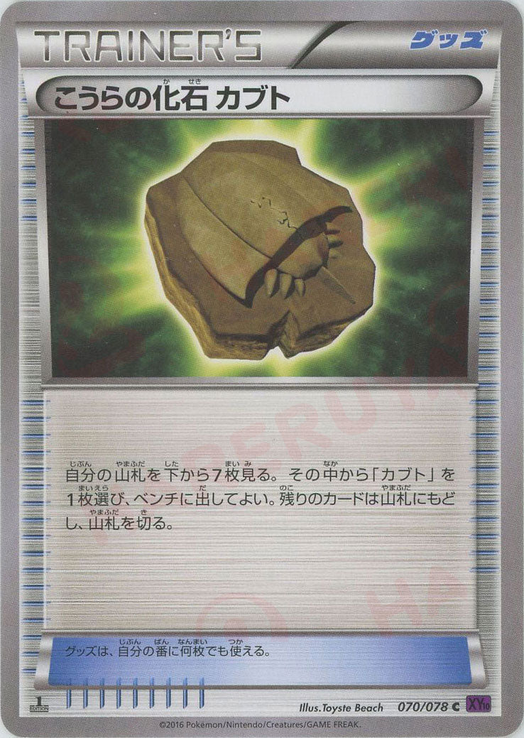 化石　C-10 化石 C-10