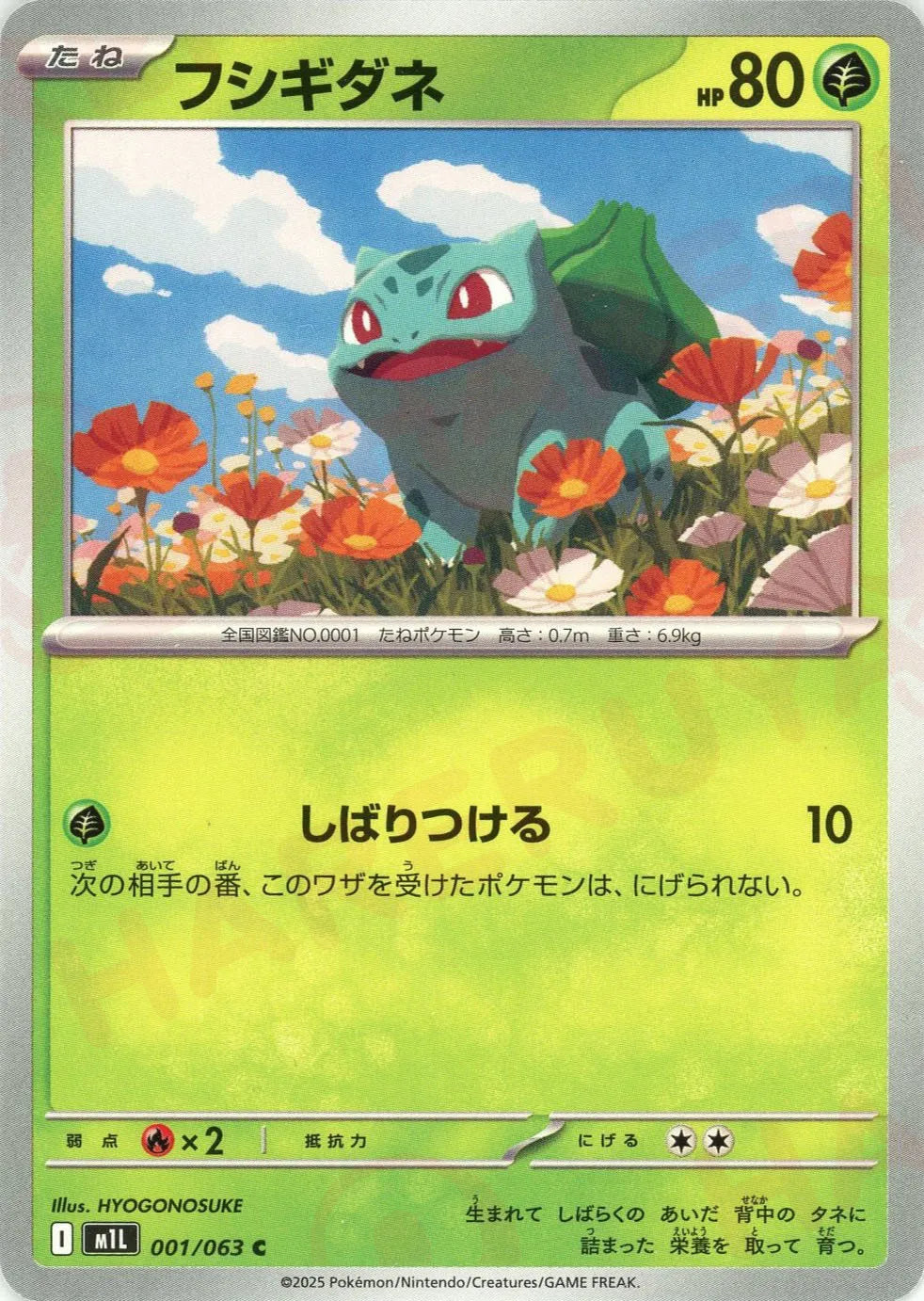 フシギダネ(C){草}〈001/063〉[M1L]