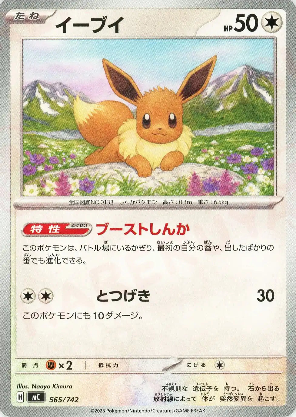 イーブイ(-){無}〈565/742〉[MC]