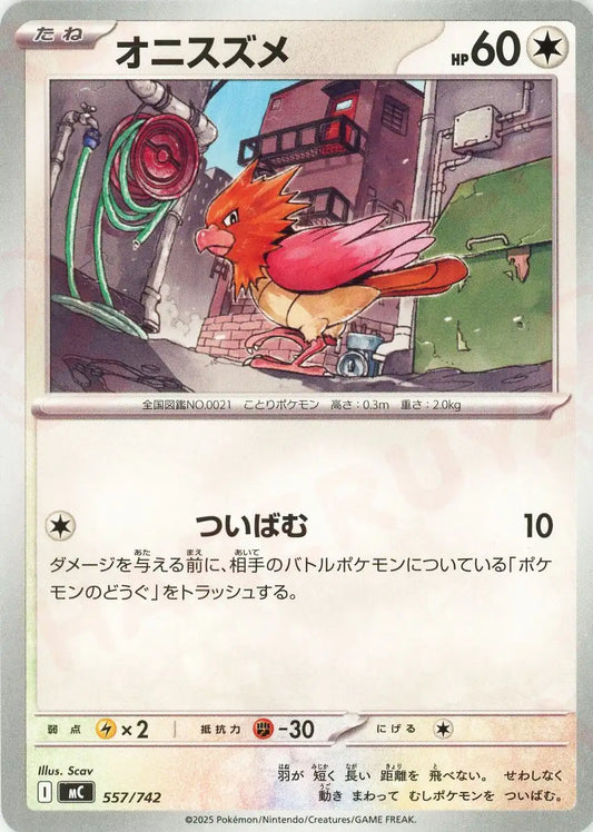 オニスズメ(-){無}〈557/742〉[MC]