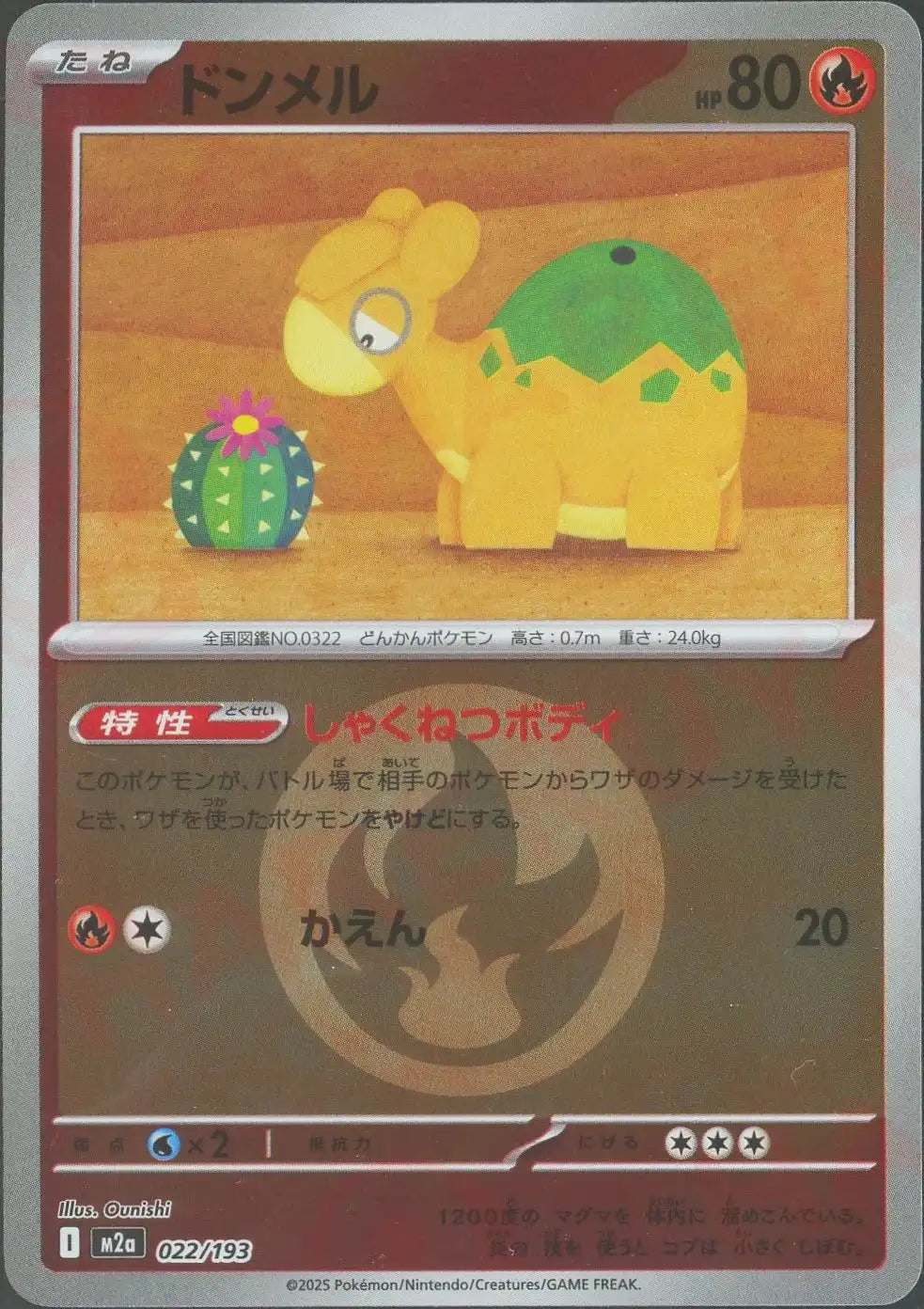 ドンメル:エネルギーミラー(-){炎}〈022/193〉[M2a-EM]