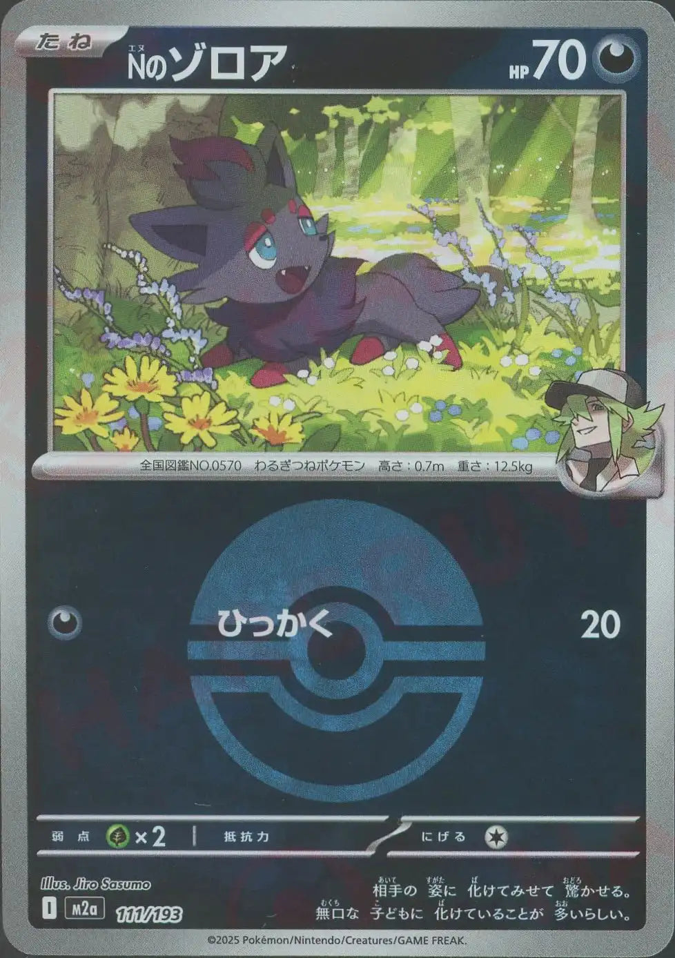 Nのゾロア:ボールミラー(-){悪}〈111/193〉[M2a-BM]