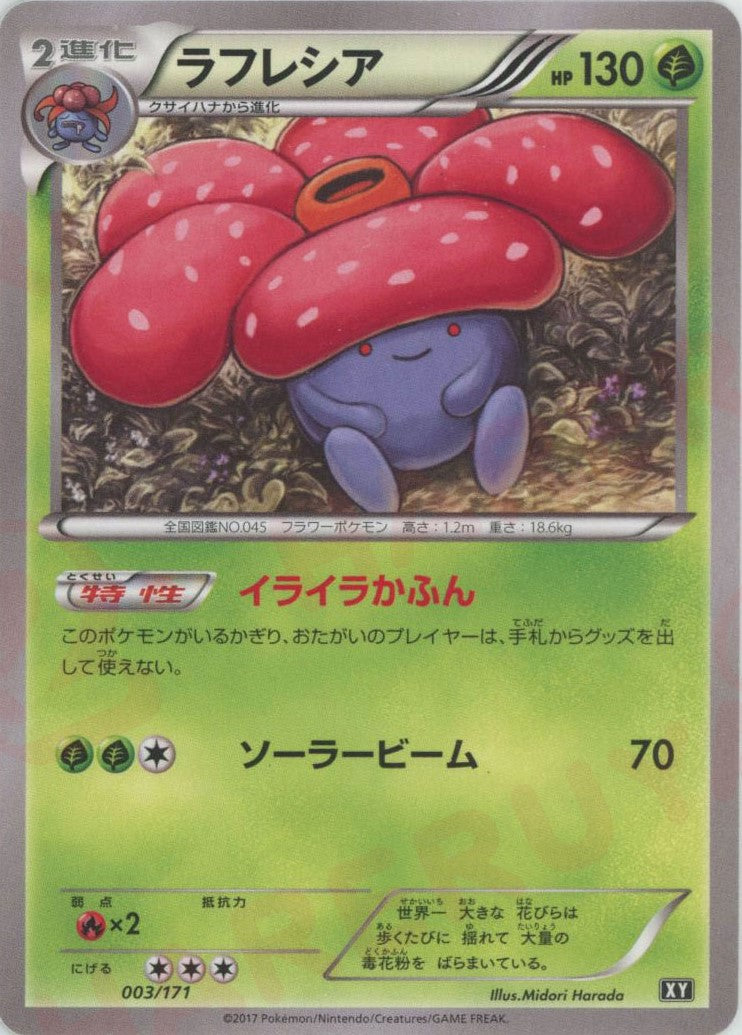 ハイクラスパック「THE BEST OF XY」 – 晴れる屋2 なんば店