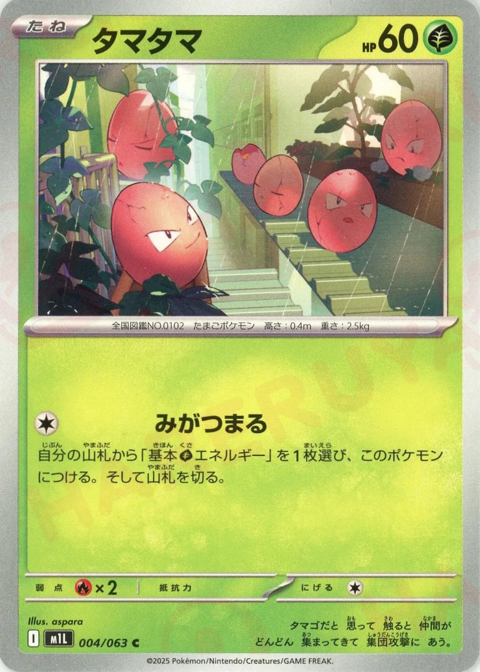 タマタマ(C){草}〈004/063〉[M1L]