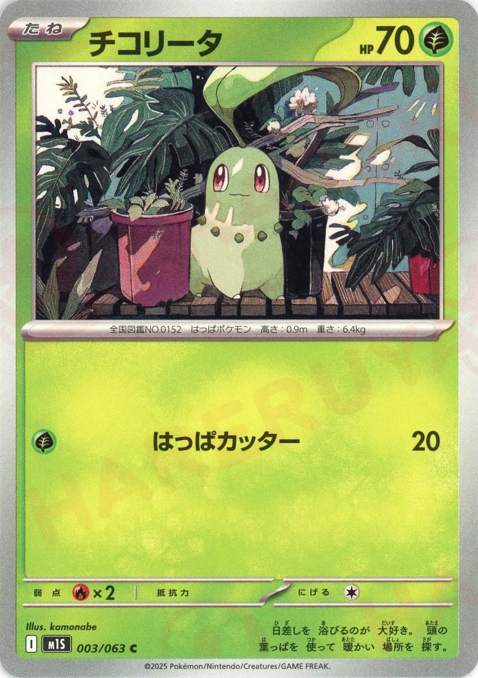 チコリータ(C){草}〈003/063〉[M1S]