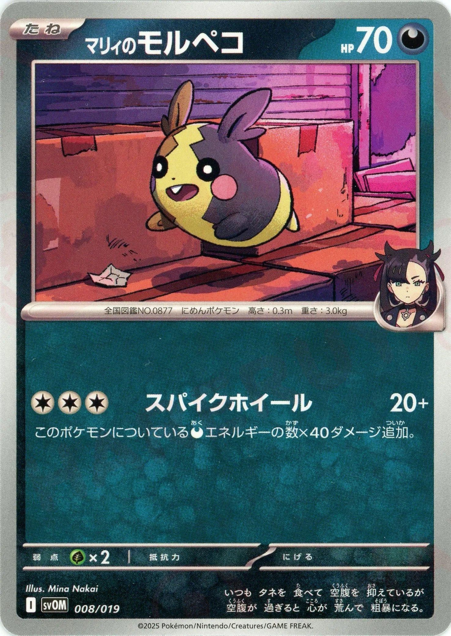 マリィのモルペコ 2個セット Amazon.co.jp: ポケモンカードゲーム スカーレット